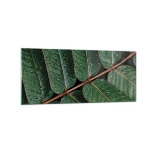 Cuadro sobre vidrio - Impresiones sobre Vidrio - Fotografía macro de hojas verdes con gotas de rocío. - 120x50cm - En un ritmo verde - Decoración de pared moderna para salón y dormitorio ARTTOR