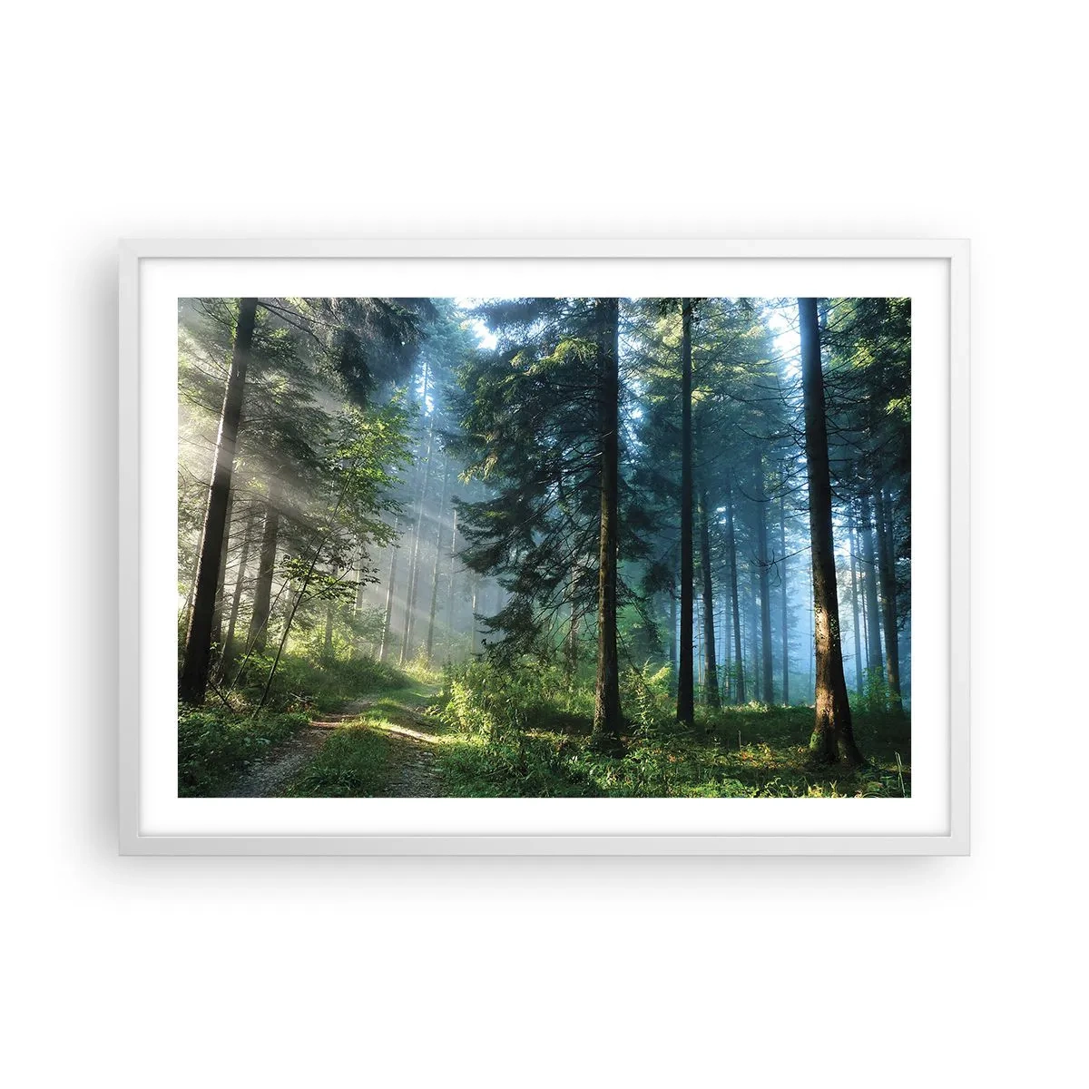Póster en marco blanco - Radiante por la mañana - 70x50 cm