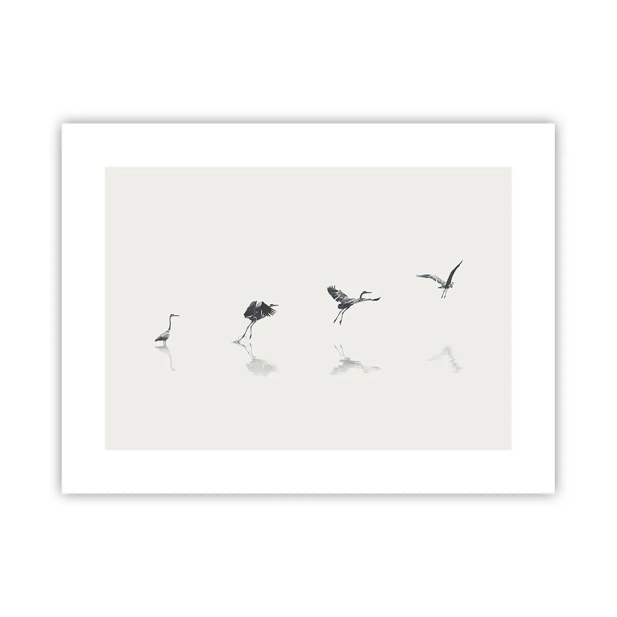 Póster - Cuatro sencillos pasos para despegar - 40x30 cm