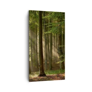 Cuadro sobre lienzo - Impresión de Imagen - Radiante en una mañana de primavera - 45x80 cm