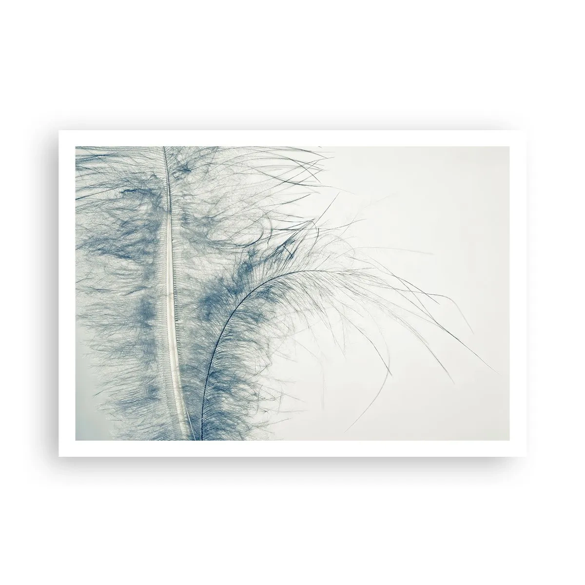 Póster - Una delicada pluma en tonos pastel sobre un fondo claro. - 100x70cm - Susurro de la naturaleza - Decoración de pared moderna para salón y dormitorio ARTTOR