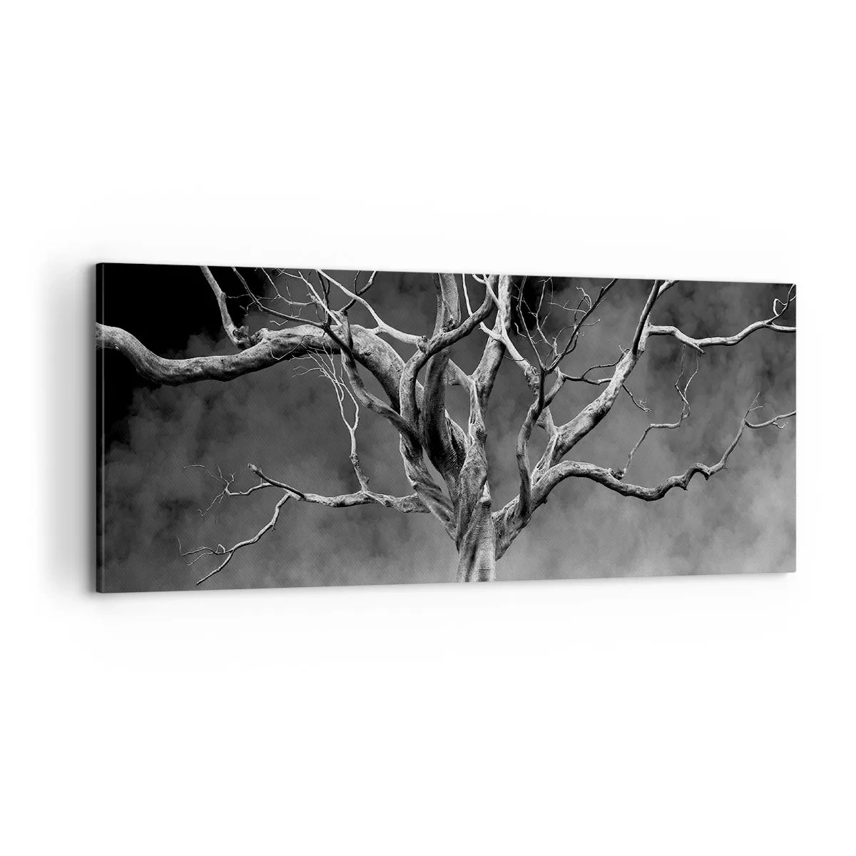 Cuadro sobre lienzo - Impresión de Imagen - Primordial y sagrado - 100x40 cm