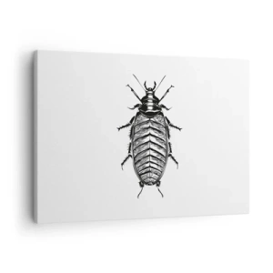 Cuadro sobre lienzo - Impresión de Imagen - Gráfico de un insecto en blanco y negro sobre un fondo blanco. - 70x50cm - ¡Qué espécimen! - Decoración de pared moderna para salón y dormitorio ARTTOR