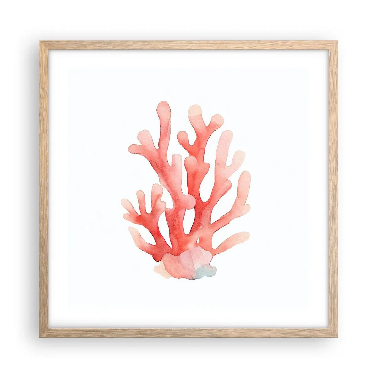 Póster en marco roble claro - La hermosura del color coral - 50x50 cm