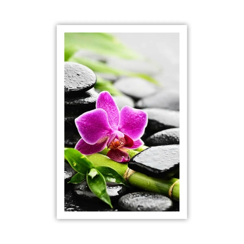 Póster - En equilibrio pacífico - 61x91 cm