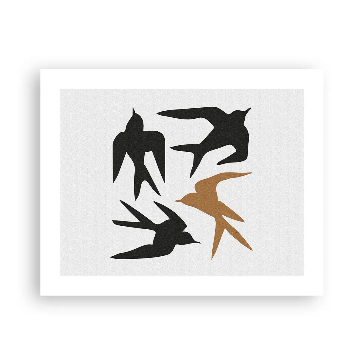 Póster - Juegos de golondrinas - 50x40 cm