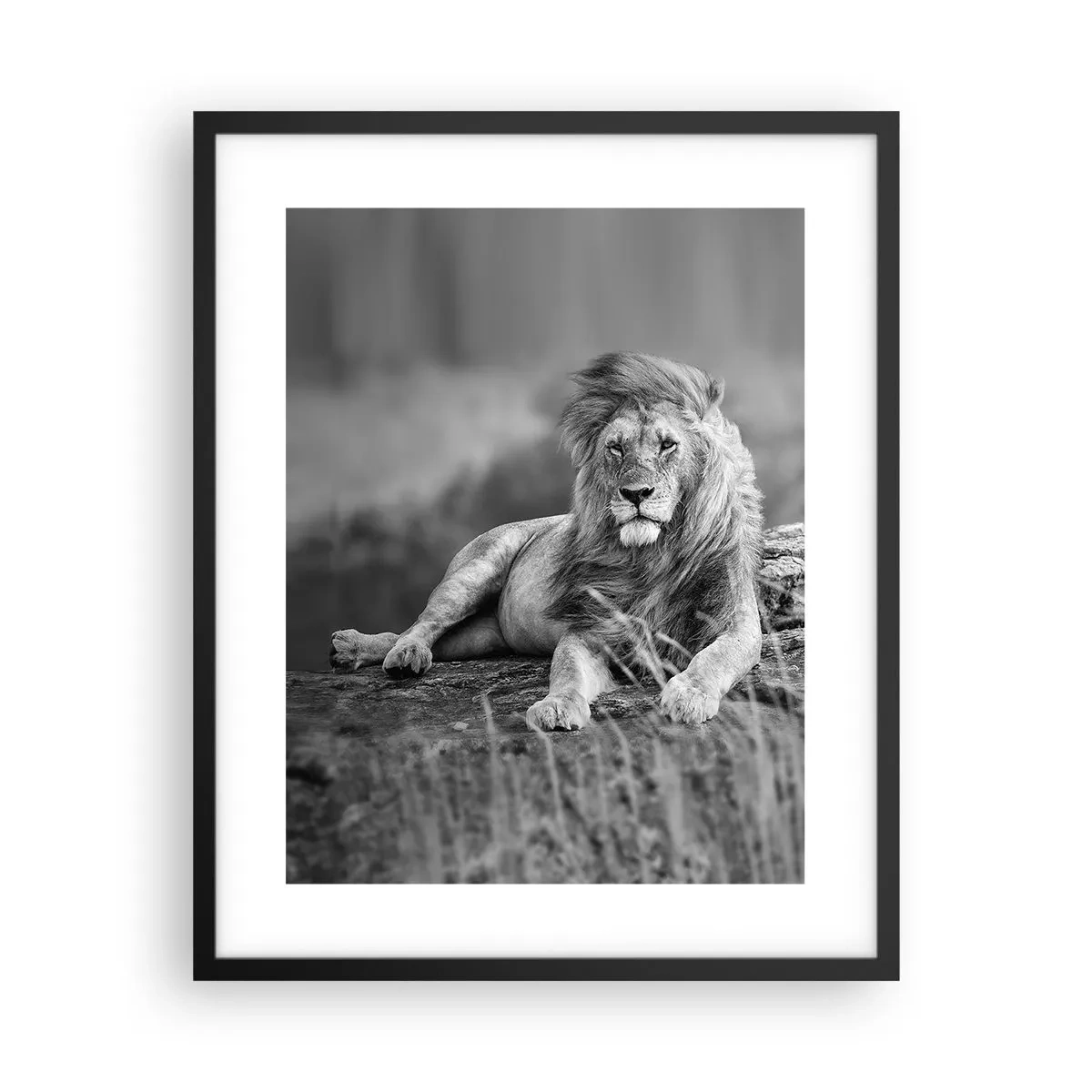 Póster en marco negro - La siesta real - 40x50 cm