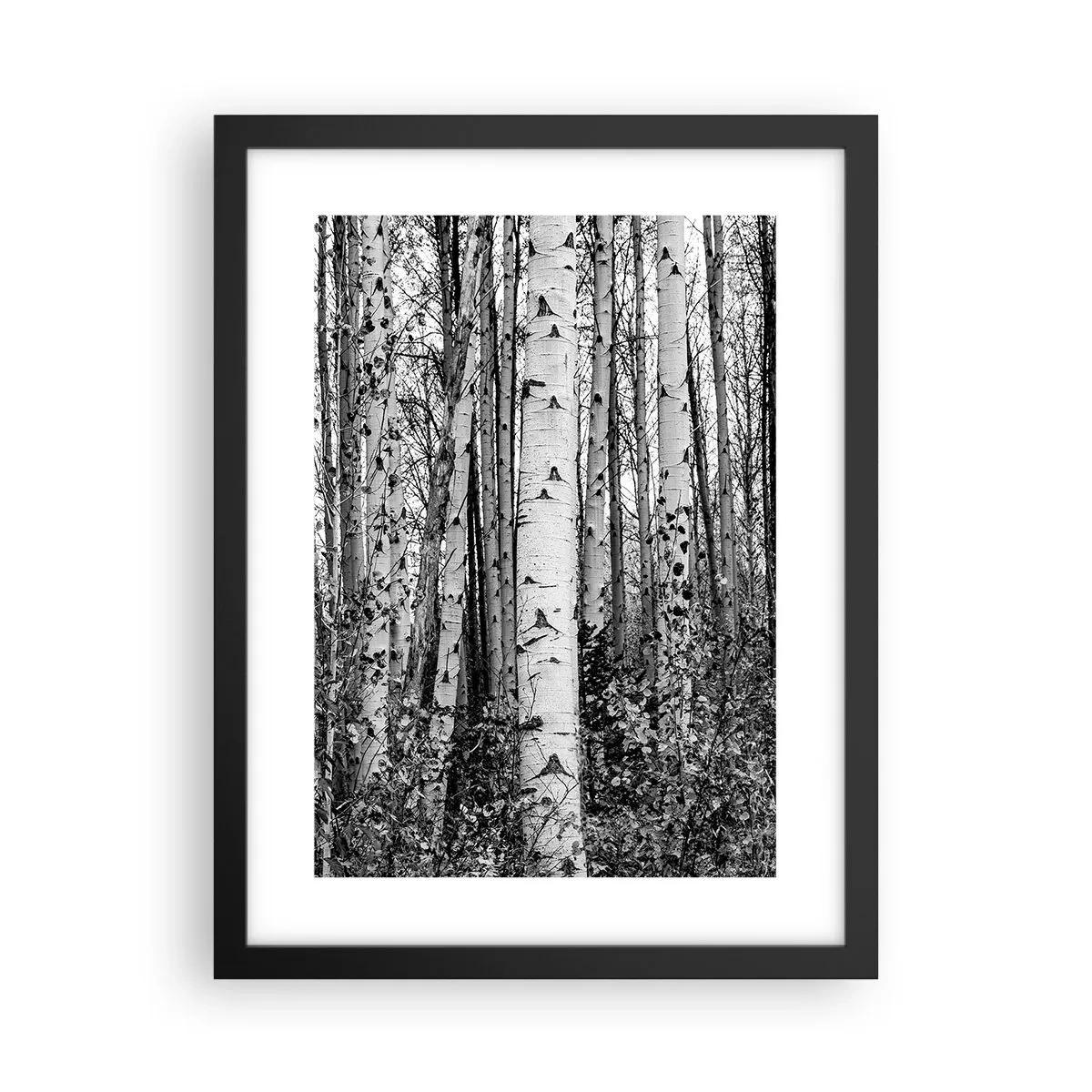 Póster en marco negro - Columnas de abedules - 30x40 cm