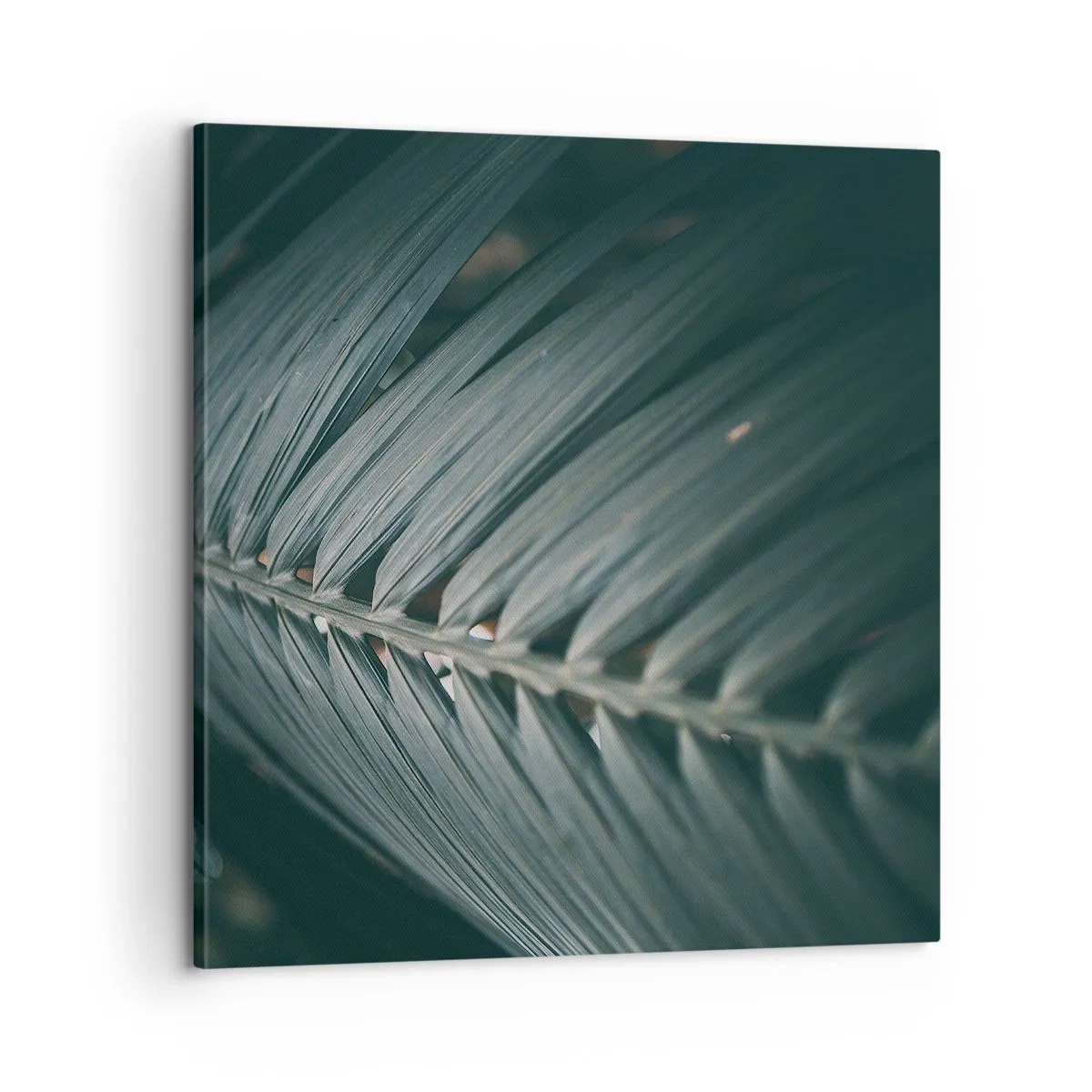 Cuadro sobre lienzo - Impresión de Imagen - La precisión de la naturaleza - 60x60 cm