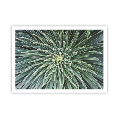 Póster - Disposición simétrica de hojas verdes que se asemeja a una estrella. - 100x70cm - El nacimiento de una estrella - Decoración de pared moderna para salón y dormitorio ARTTOR