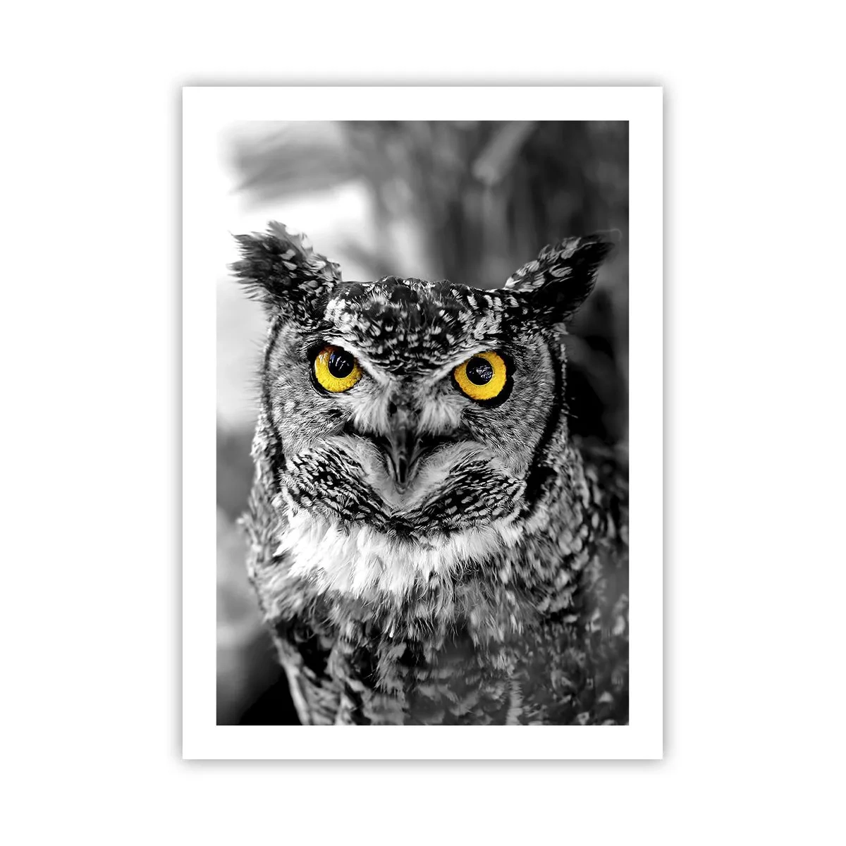 Póster - Un búho con ojos amarillos sobre un fondo blanco y negro. - 50x70cm - Nada se puede ocultar - Decoración de pared moderna para salón y dormitorio ARTTOR