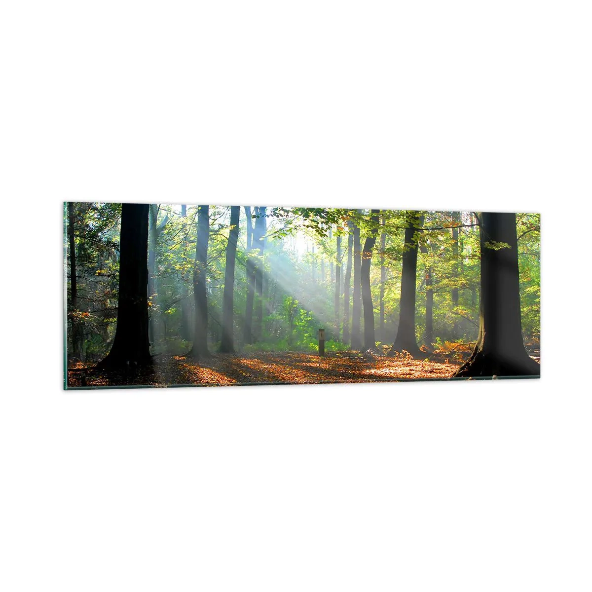 Cuadro sobre vidrio - Impresiones sobre Vidrio - Resplandores y sombras - 90x30 cm