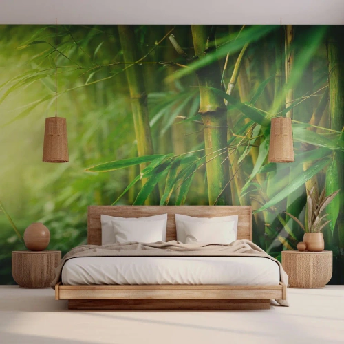 Fotomural Standard Eco - Conocer el propio verdor - Planta, Bambú, Selva - 150x105 cm