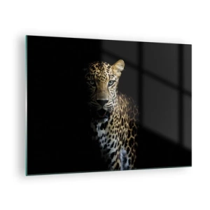 Cuadro sobre vidrio - Impresiones sobre Vidrio - León en la sombra - 70x50cm - Belleza oscura - Decoración de pared moderna para salón y dormitorio ARTTOR