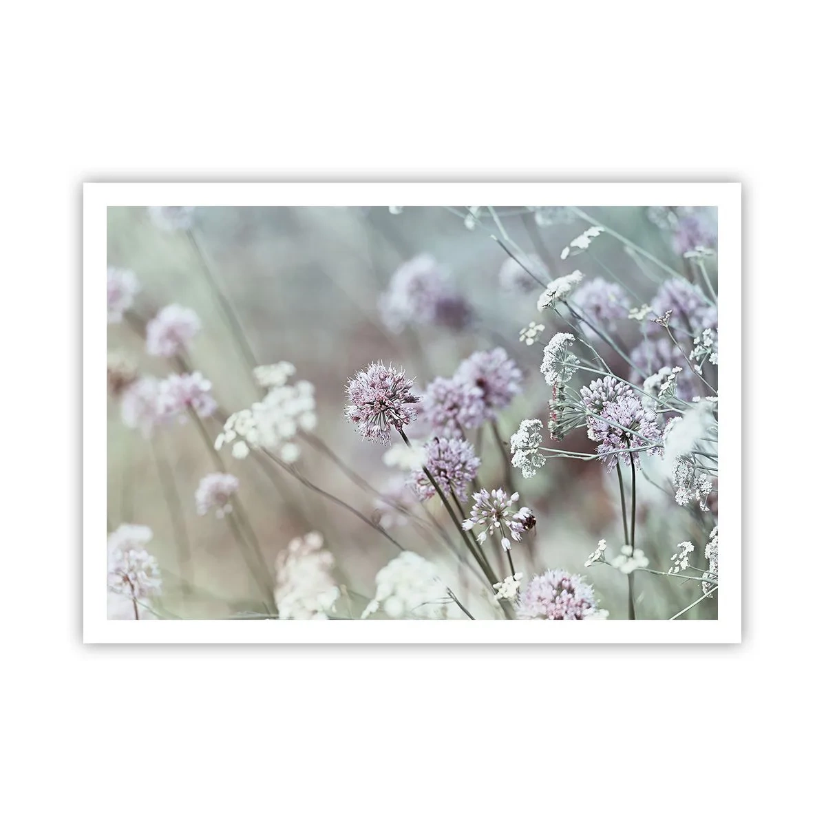 Póster - Delicadas flores en tonos pastel. - 100x70cm - Dulces filigranas de hierbas - Decoración de pared moderna para salón y dormitorio ARTTOR