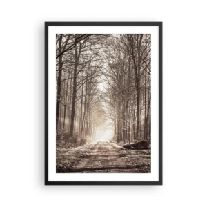 Póster en marco negro - Un sendero forestal en tonos sepia otoñales. - 50x70cm - La catedral del bosque - Decoración de pared moderna para salón y dormitorio ARTTOR