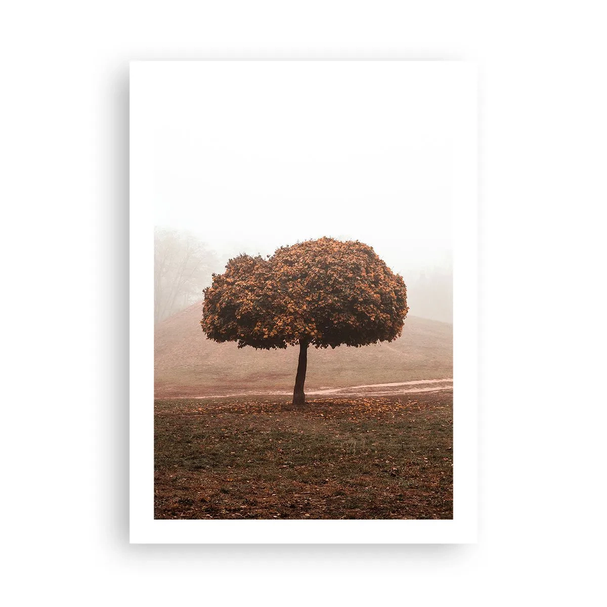 Póster - Un árbol solitario en la niebla otoñal. - 50x70cm - Después de un verano ajetreado - Decoración de pared moderna para salón y dormitorio ARTTOR