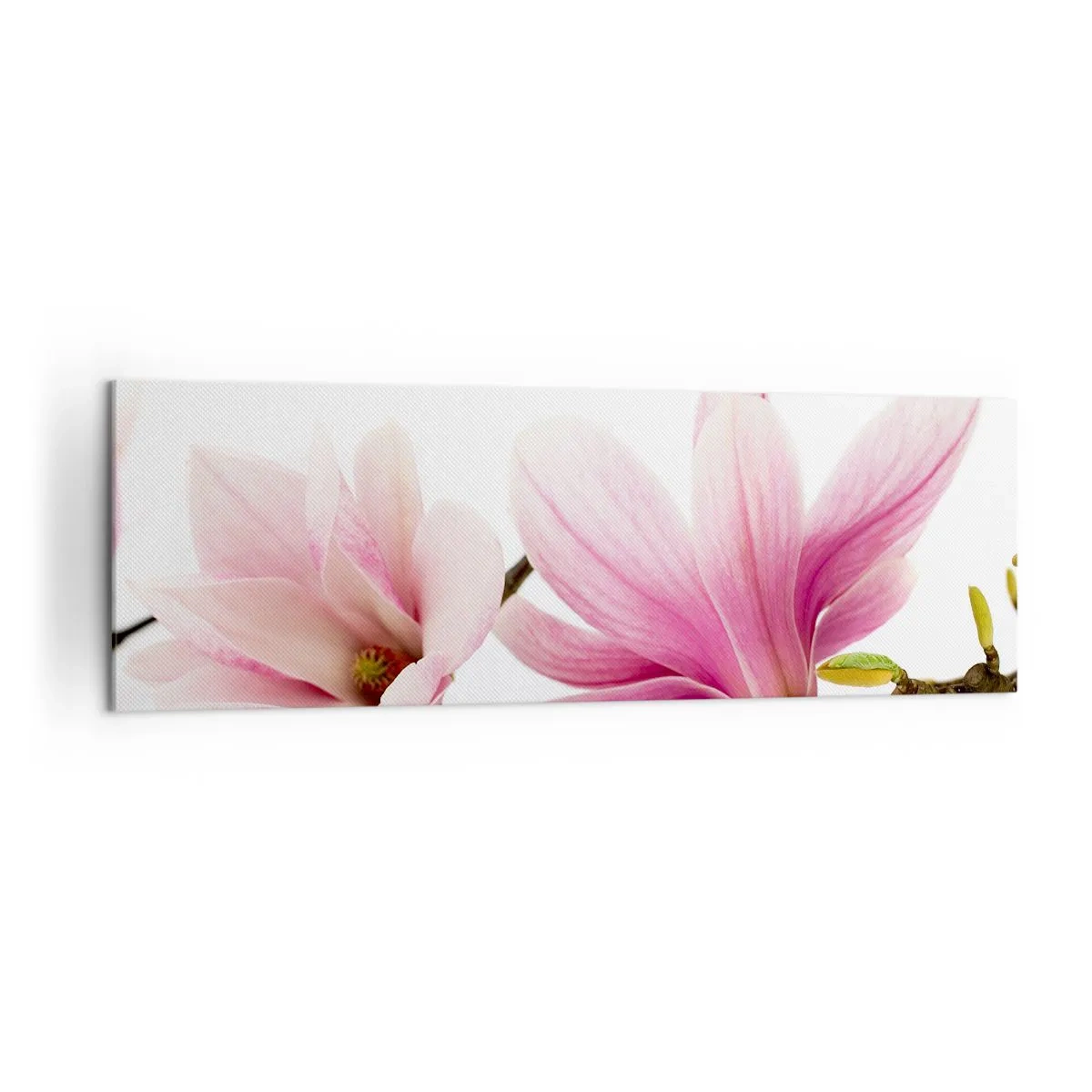 Cuadro sobre lienzo - Impresión de Imagen - Delicadas magnolias rosas sobre un fondo blanco. - 160x50cm - Suave como un soplo de primavera - Decoración de pared moderna para salón y dormitorio ARTTOR