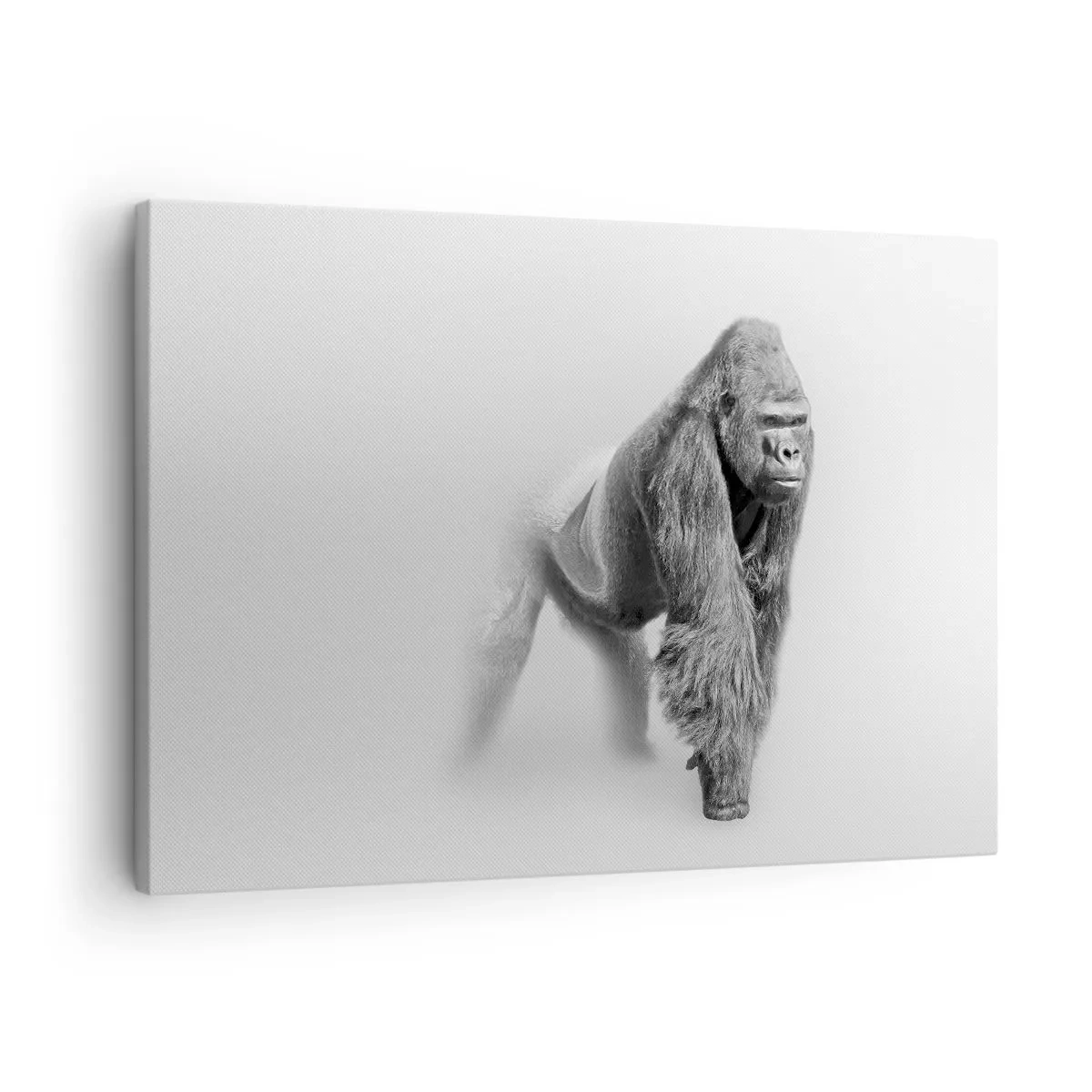 Cuadro sobre lienzo - Impresión de Imagen - Gorila en tonos monocromáticos sobre fondo blanco. - 70x50cm - Confiando en su fuerza - Decoración de pared moderna para salón y dormitorio ARTTOR