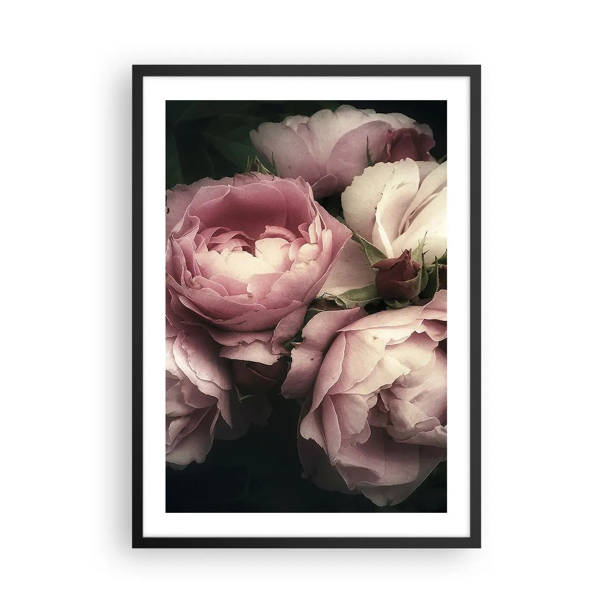 Póster en marco negro - Peonías rosas en un arreglo elegante y clásico. - 50x70cm - El encanto de la belle époque - Decoración de pared moderna para salón y dormitorio ARTTOR