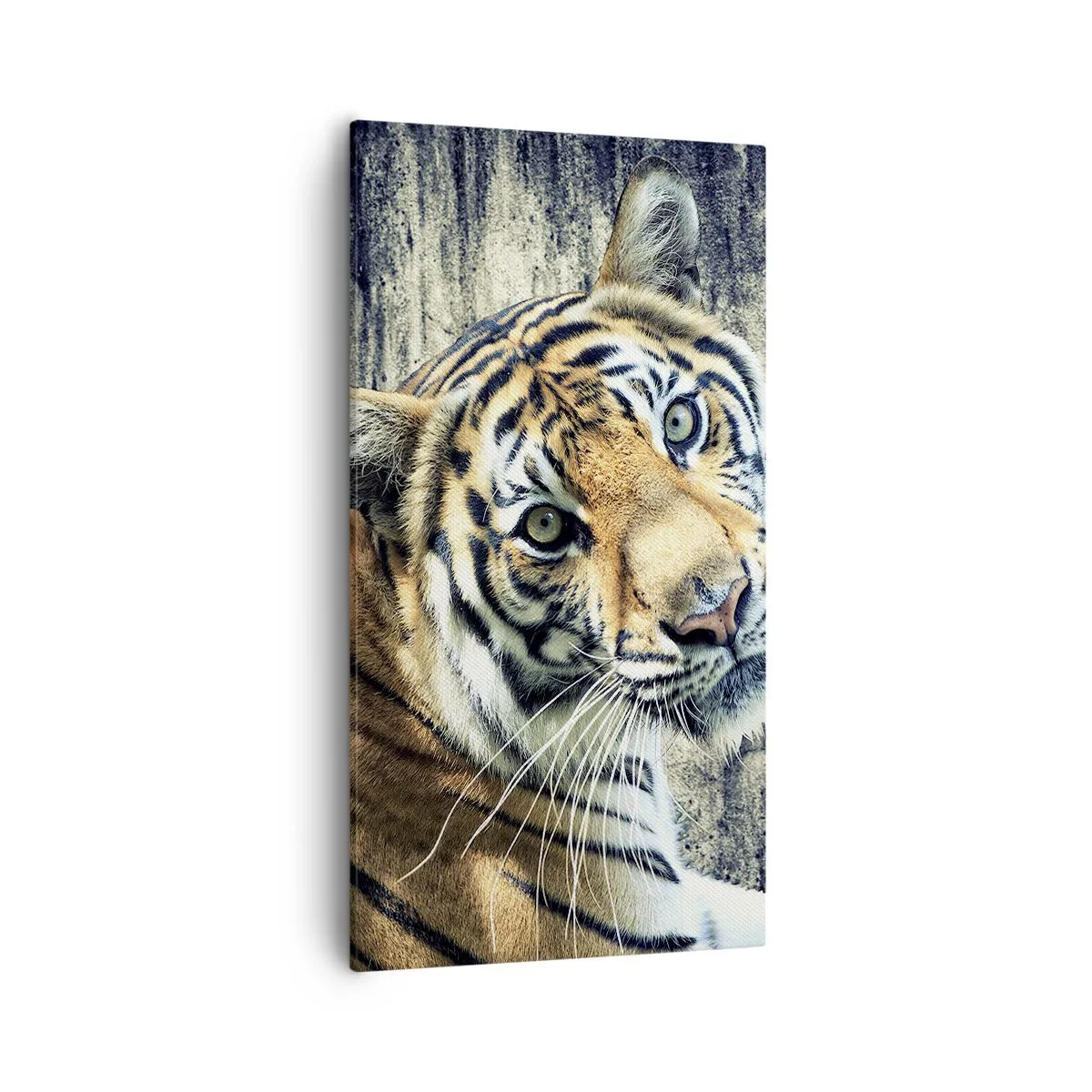 Cuadro sobre lienzo - Impresión de Imagen - Retrato en corrientes de luz - 55x100 cm