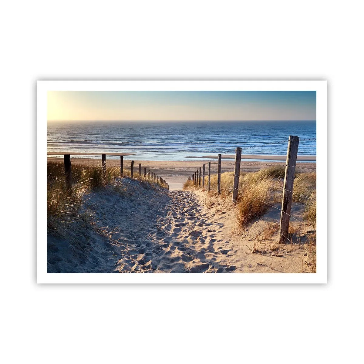 Póster - Camino a través de las dunas que conduce a la playa. - 100x70cm - El sonido del mar, el canto de los pájaros, una playa virgen entre las dunas... - Decoración de pared moderna para salón y dormitorio ARTTOR