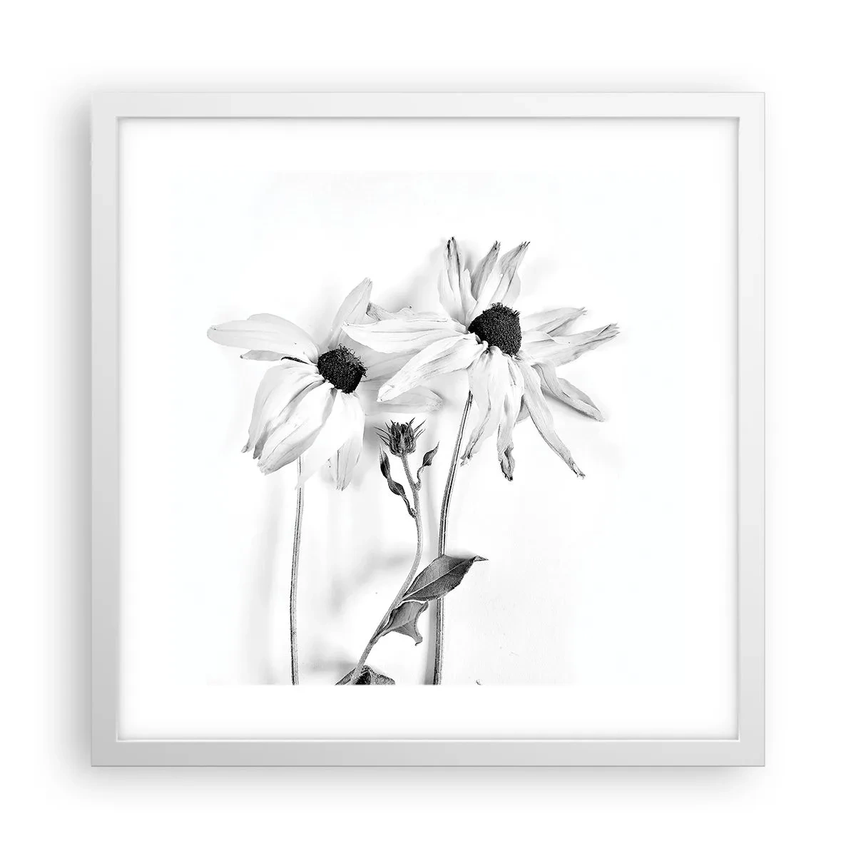 Póster en marco blanco - Nadie quiere estar solo - 40x40 cm