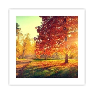 Póster - El rojo es hermoso - 40x40 cm