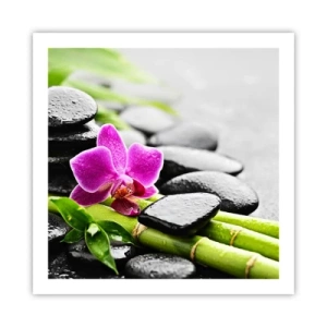 Póster - En equilibrio pacífico - 60x60 cm