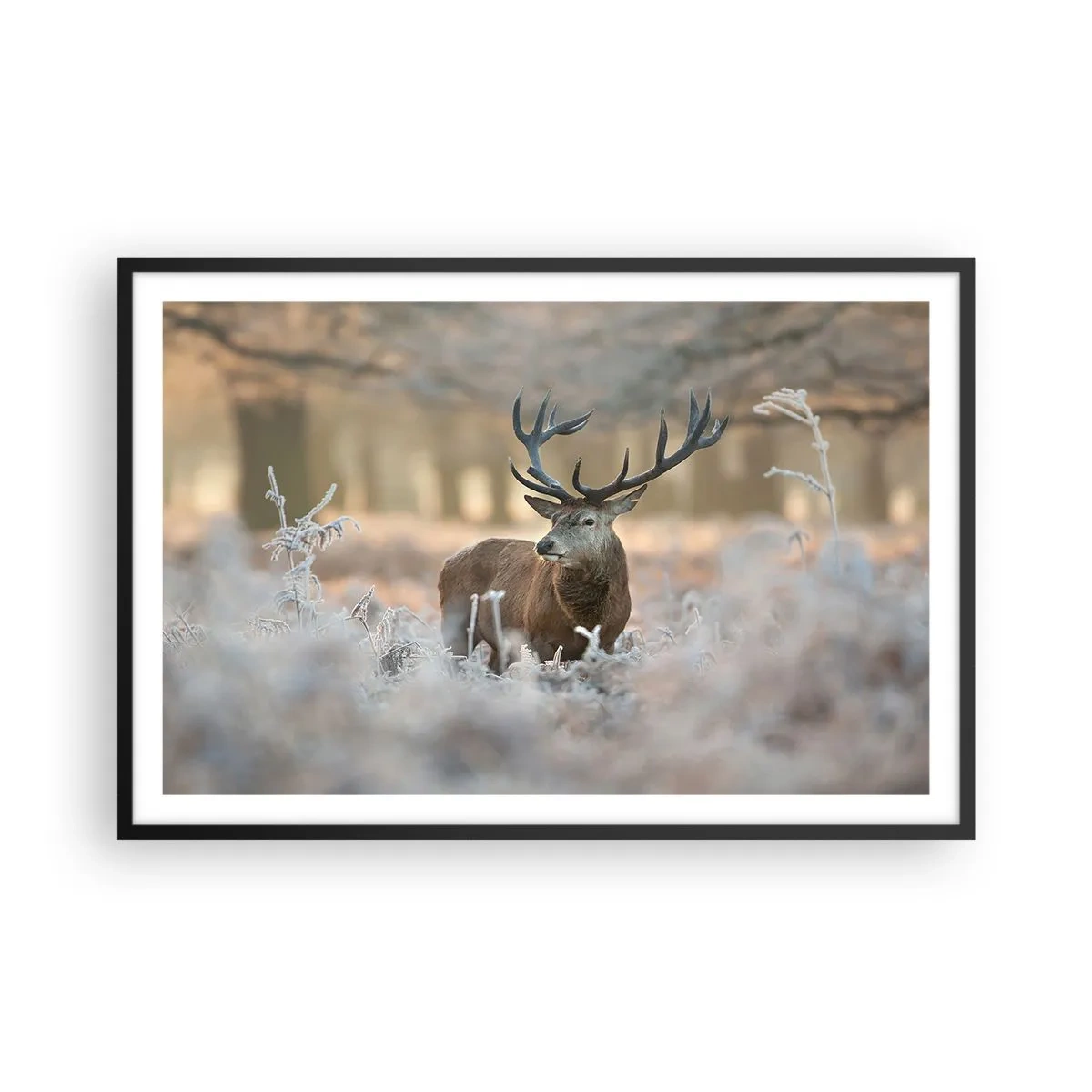 Póster en marco negro - Una mañana fresca - 91x61 cm