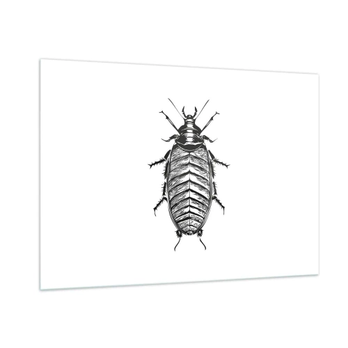Cuadro sobre vidrio - Impresiones sobre Vidrio - Ilustración en blanco y negro de un insecto sobre un fondo blanco. - 100x70cm - ¡Qué espécimen! - Decoración de pared moderna para salón y dormitorio ARTTOR