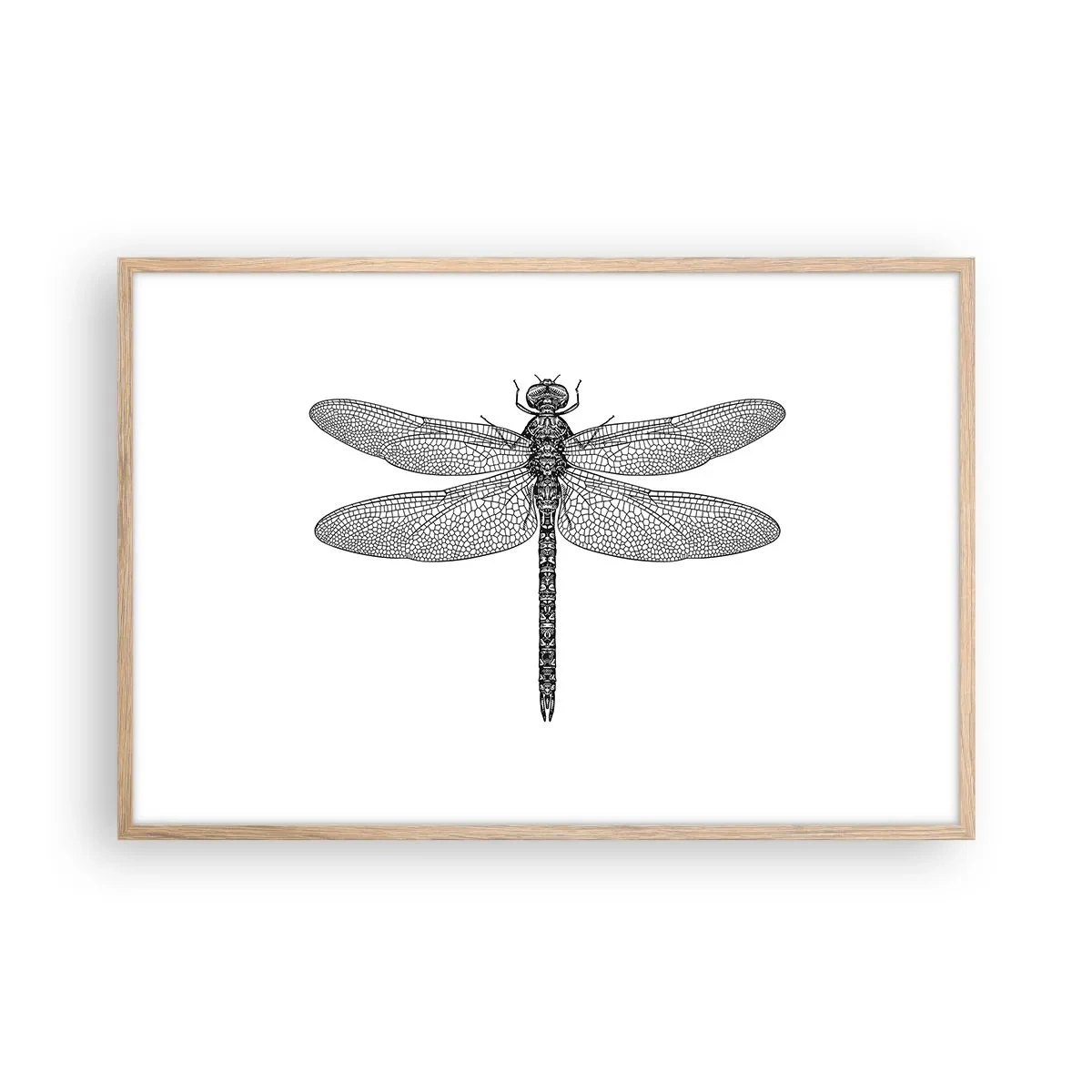 Póster en marco roble claro - Precisión de la naturaleza - 91x61 cm
