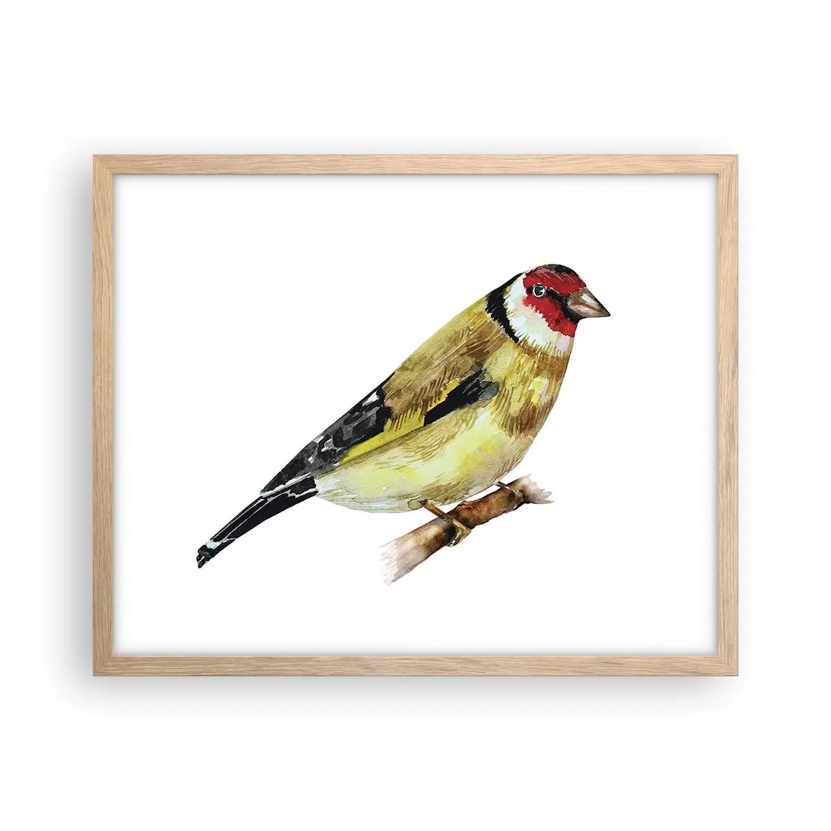 Póster en marco roble claro - Retrato de pájaro - 50x40 cm