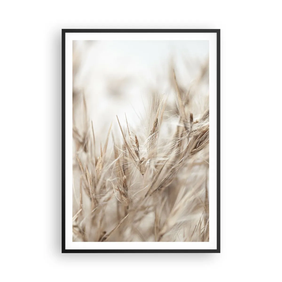 Póster en marco negro - Pradera y viento - 70x100 cm