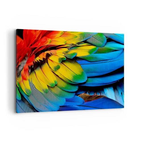 Cuadro sobre lienzo - Impresión de Imagen - Un primer plano de las coloridas plumas de un loro. - 120x80cm - Ave del paraíso - Decoración de pared moderna para salón y dormitorio ARTTOR