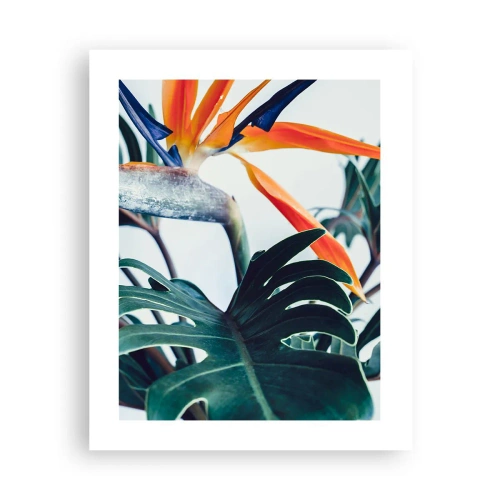 Póster - La jaula del pájaro colorido - 40x50 cm