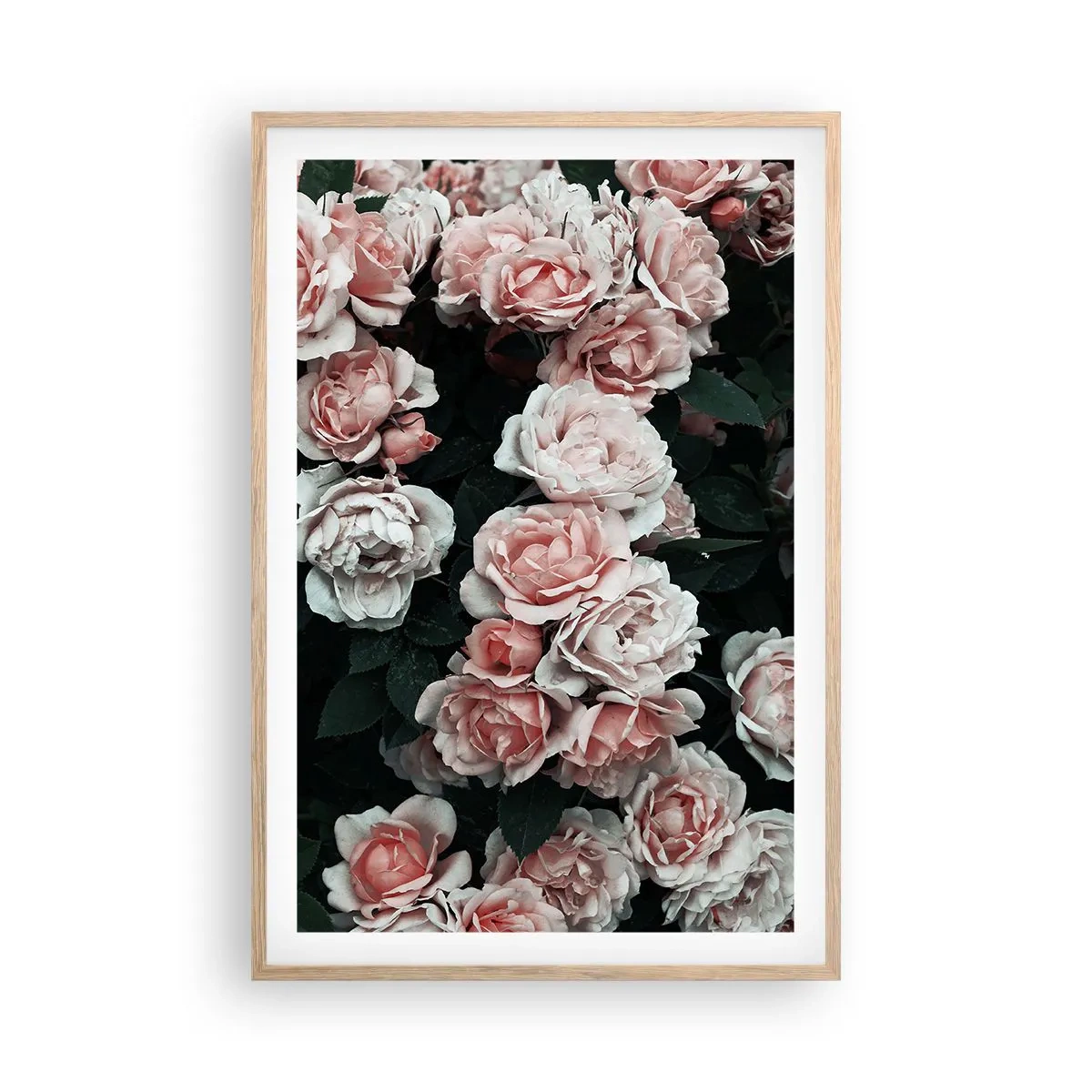 Póster en marco roble claro - Conjunto de rosas - 61x91 cm