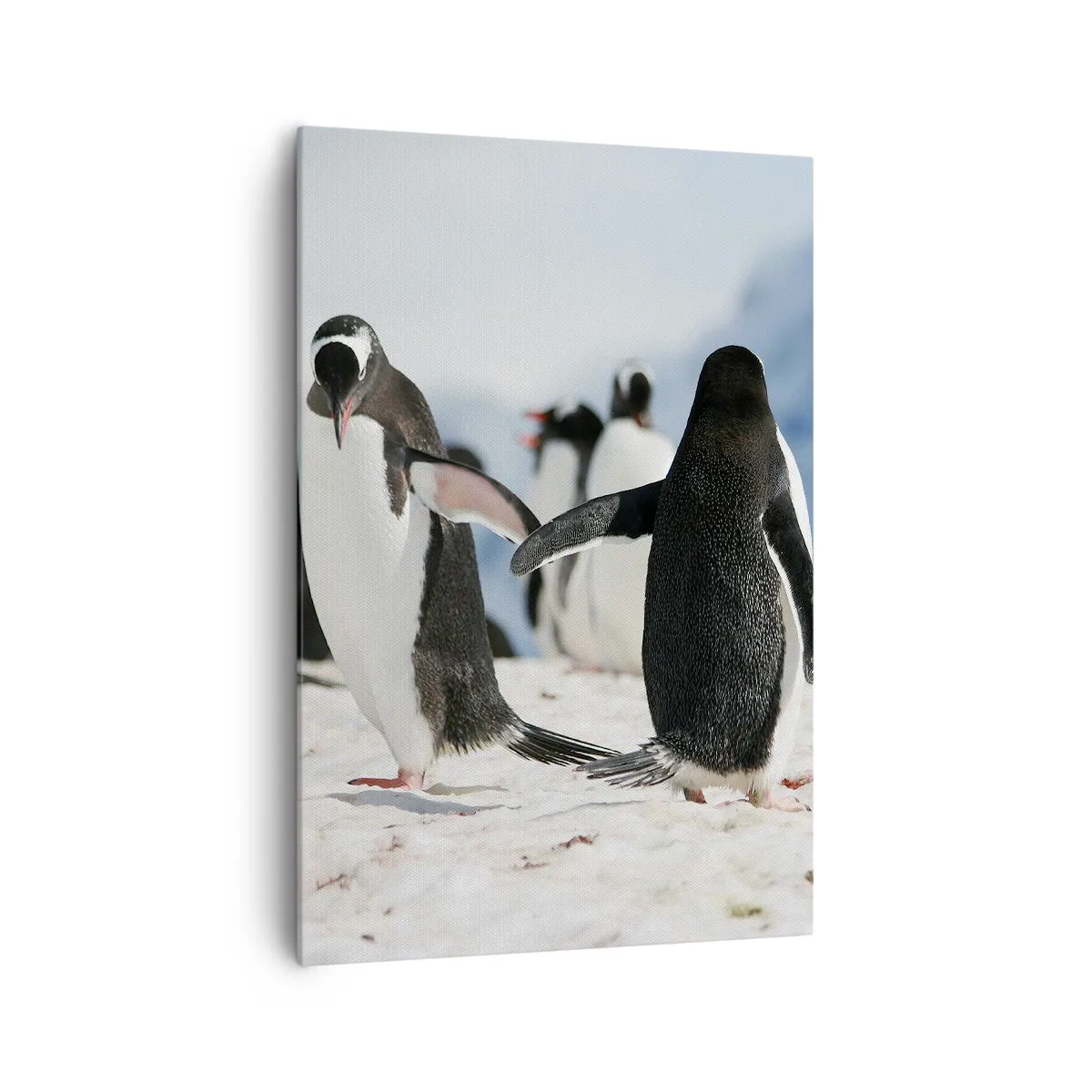 Cuadro sobre lienzo - Impresión de Imagen - Un grupo de pingüinos en la nieve en un paisaje antártico. - 70x100cm - Bailando en la nieve - Decoración de pared moderna para salón y dormitorio ARTTOR