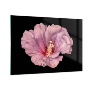 Cuadro sobre vidrio - Impresiones sobre Vidrio - Primer plano de una flor de hibisco rosa sobre un fondo negro - 100x70cm - Directo al corazón - Decoración de pared moderna para salón y dormitorio ARTTOR