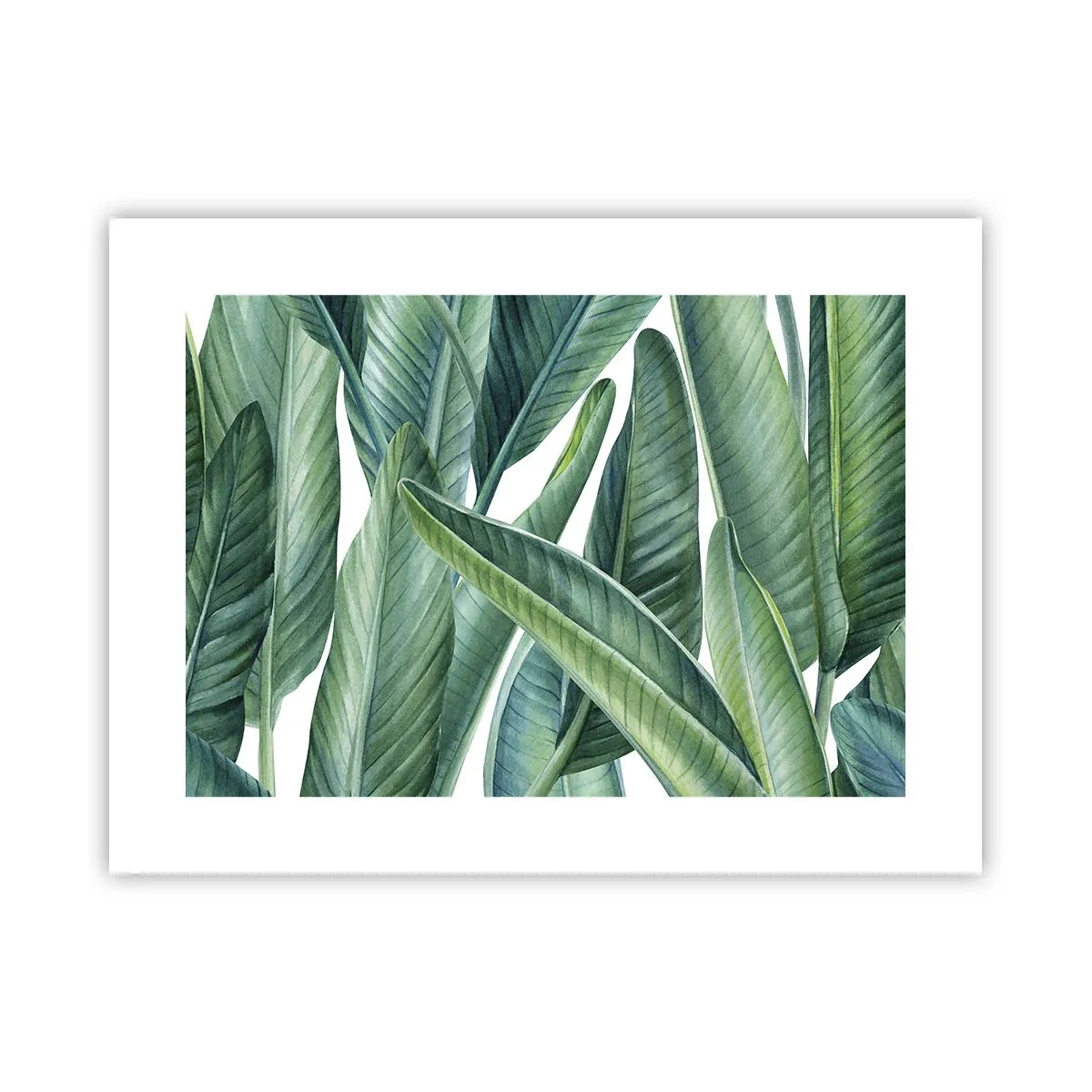 Póster - Vegetación en estado puro - 40x30 cm
