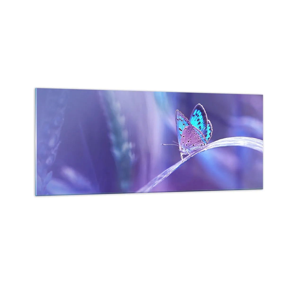 Cuadro sobre vidrio - Impresiones sobre Vidrio - Una joya de la naturaleza - 100x40 cm