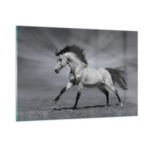 Cuadro sobre vidrio - Impresiones sobre Vidrio - Una fotografía en blanco y negro de un caballo galopando en un campo abierto. - 120x80cm - Nacido para deleitar - Decoración de pared moderna para salón y dormitorio ARTTOR