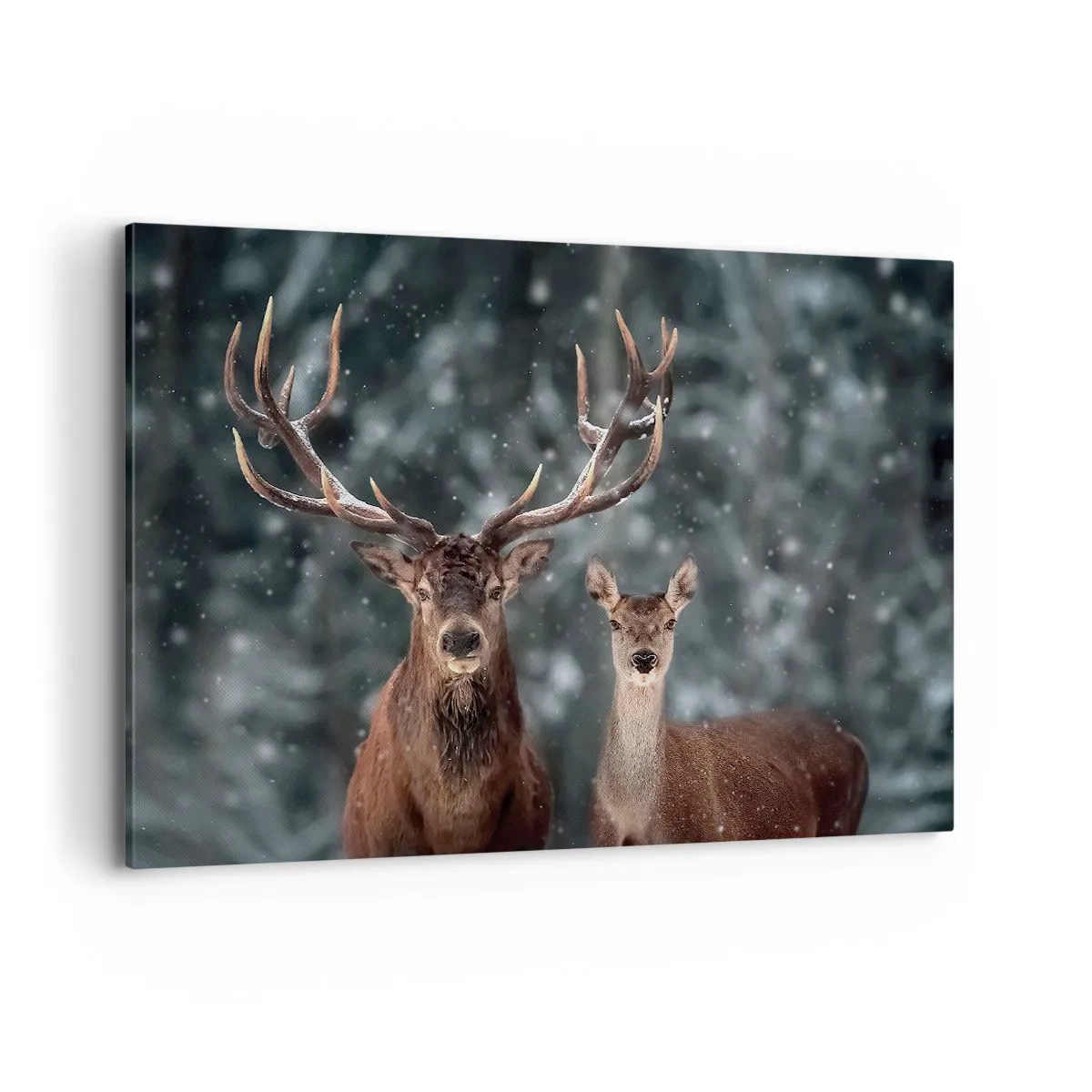 Cuadro sobre lienzo - Impresión de Imagen - Ciervos en un bosque invernal cubierto de nieve - 100x70cm - El señor y la señora del bosque - Decoración de pared moderna para salón y dormitorio ARTTOR