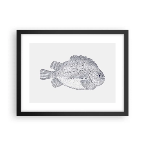 Póster en marco negro - Para el álbum del naturalista - 40x30 cm