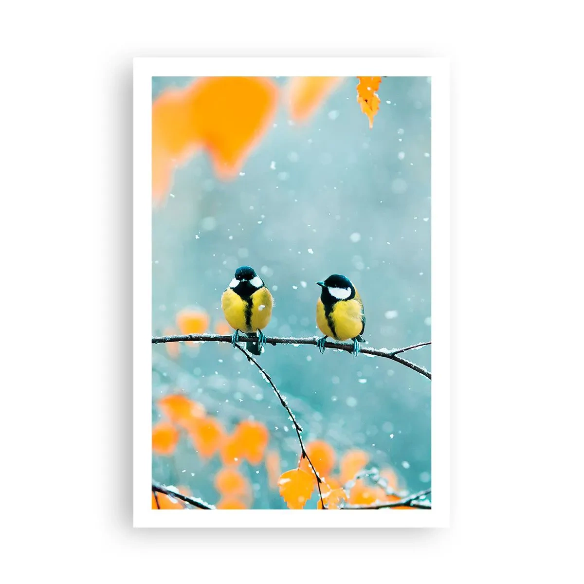 Póster - Cotilleo de pájaros - 61x91 cm