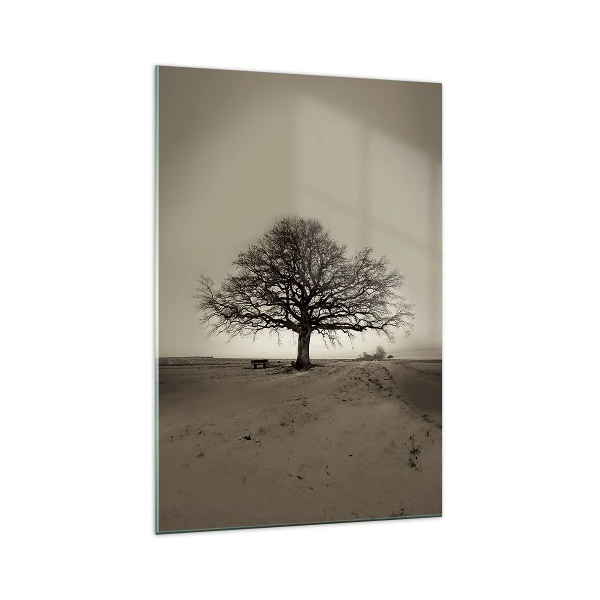 Cuadro sobre vidrio - Impresiones sobre Vidrio - Un árbol solitario en un campo sepia - 70x100cm - De aquí a la eternidad - Decoración de pared moderna para salón y dormitorio ARTTOR