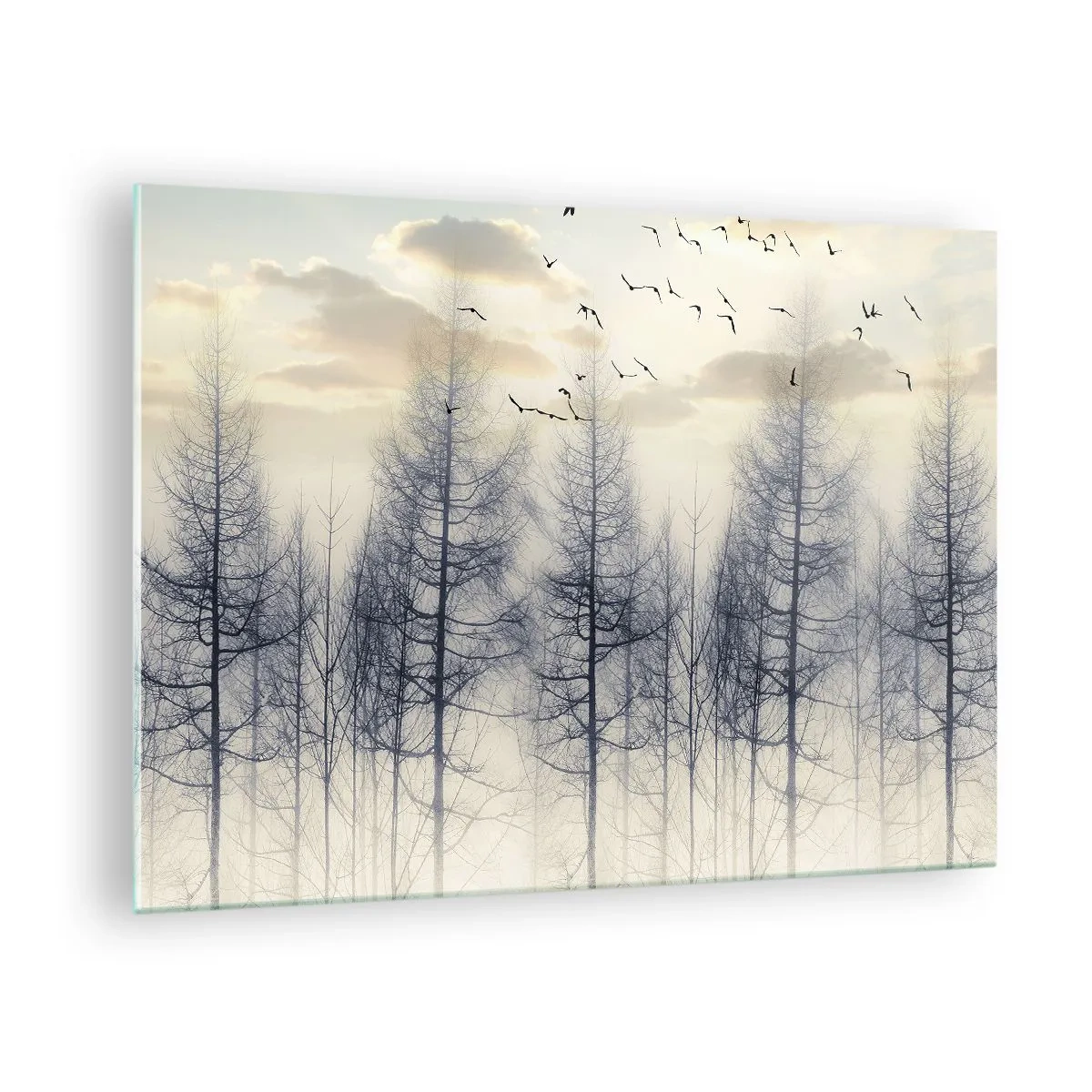Cuadro sobre vidrio - Impresiones sobre Vidrio - Un bosque brumoso con pájaros, iluminado por el sol naciente. - 70x50cm - Espíritus del bosque - Decoración de pared moderna para salón y dormitorio ARTTOR