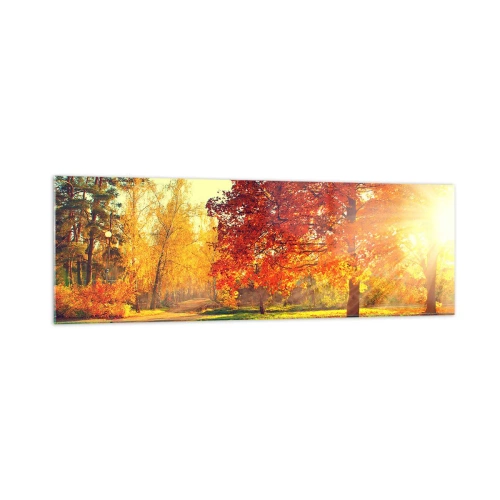 Cuadro sobre vidrio - Impresiones sobre Vidrio - Parque otoñal iluminado por la luz del sol - 160x50cm - El rojo es hermoso - Decoración de pared moderna para salón y dormitorio ARTTOR
