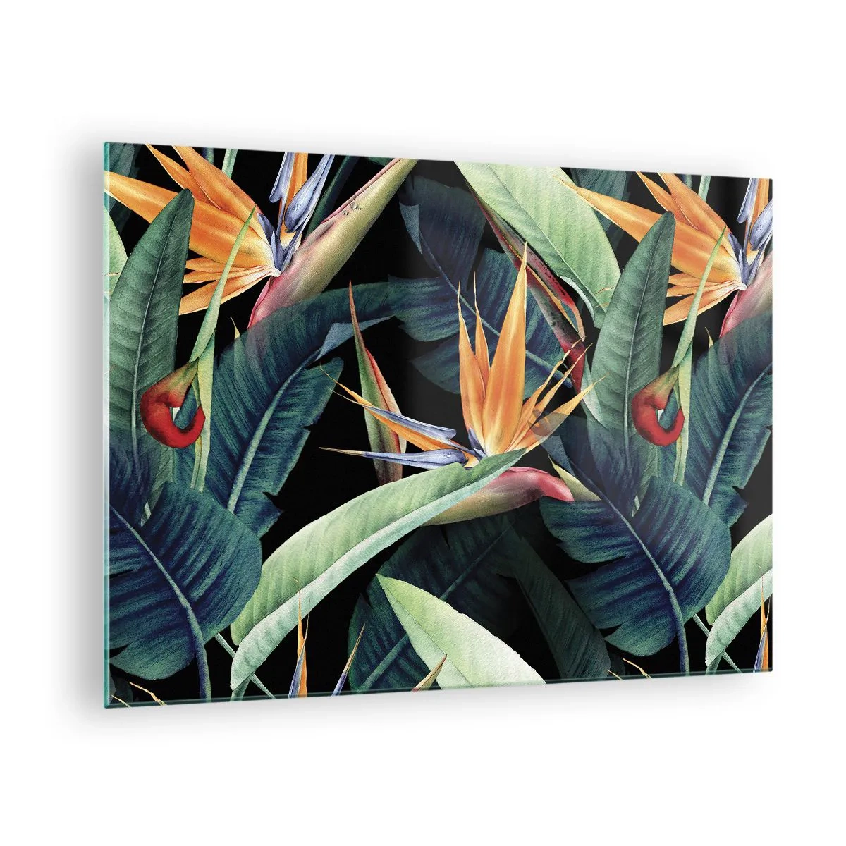 Cuadro sobre vidrio - Impresiones sobre Vidrio - Flores de strelitzia y hojas tropicales sobre fondo negro - 70x50cm - Flores de llamas de los trópicos - Decoración de pared moderna para salón y dormitorio ARTTOR