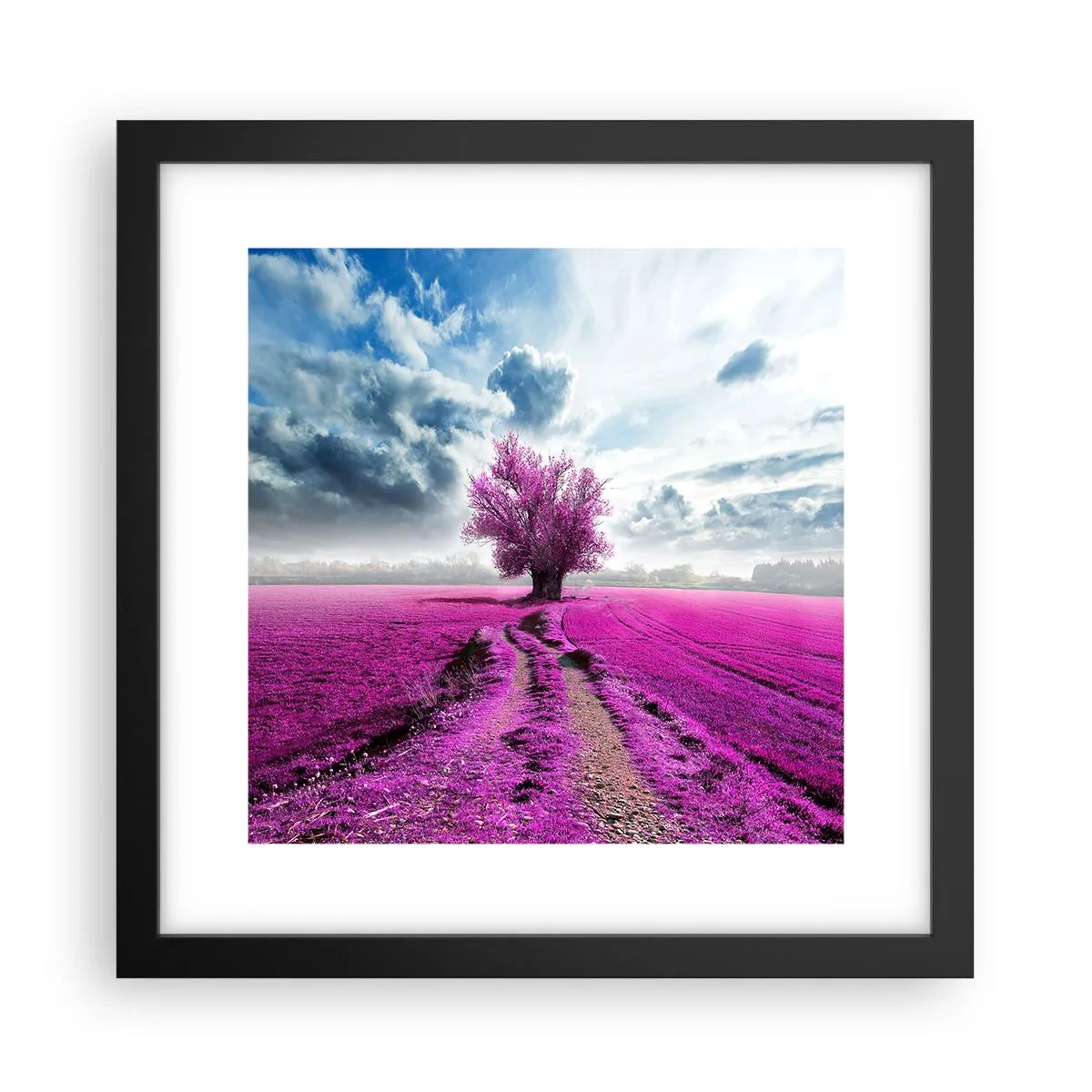 Póster en marco negro - El brezal - un encanto - 30x30 cm